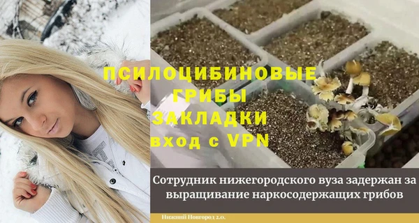 спайс Алексин