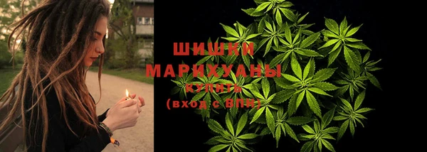 PSILOCYBIN Алзамай
