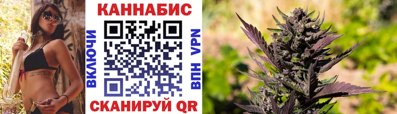 Бошки марихуана ГИДРОПОН Ржев